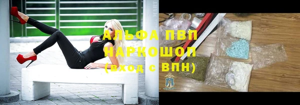 spice Арсеньев