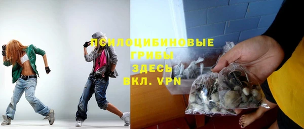 spice Арсеньев