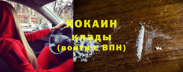 ешки Аркадак