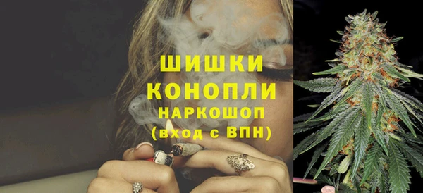 ешки Аркадак