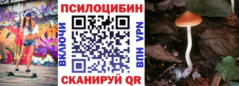 мега онион  Карабаш  Псилоцибиновые грибы Magic Shrooms 